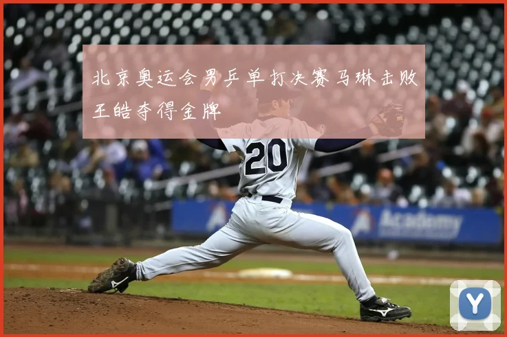 北京奥运会男乒单打决赛马琳击败王皓夺得金牌