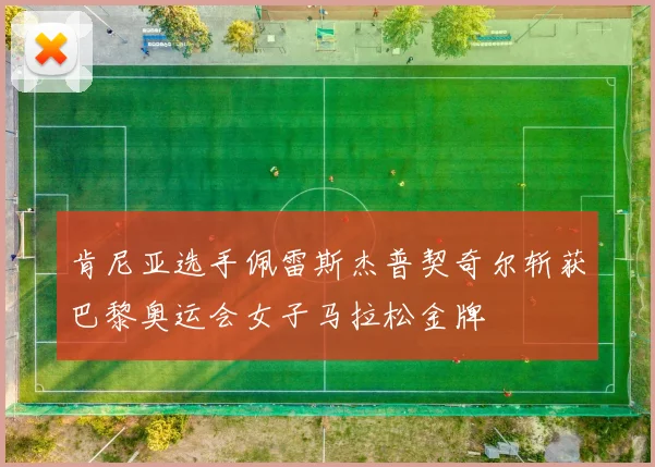 肯尼亚选手佩雷斯杰普契奇尔斩获巴黎奥运会女子马拉松金牌
