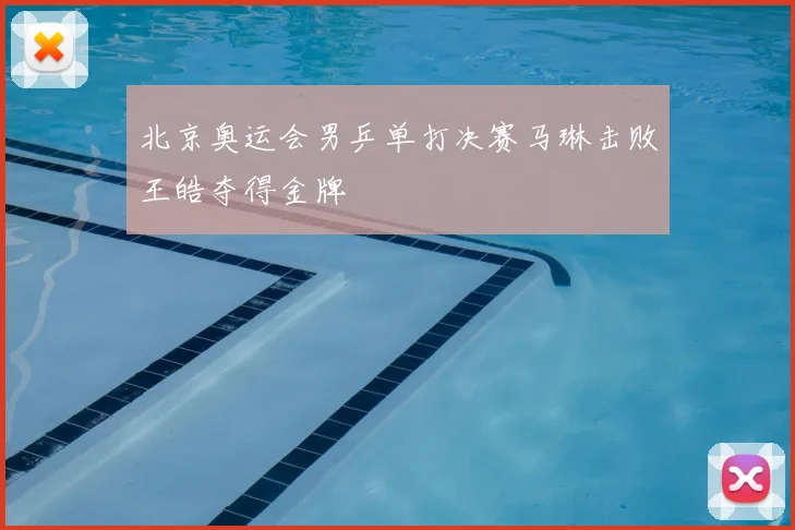 北京奥运会男乒单打决赛马琳击败王皓夺得金牌